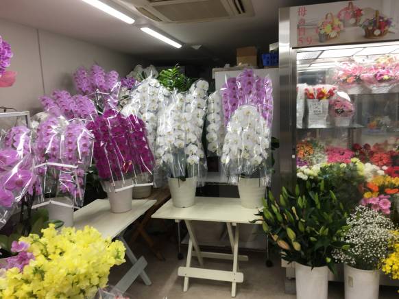 「フラワーショップおかもと医大前店」　（奈良県橿原市）の花屋店舗写真2